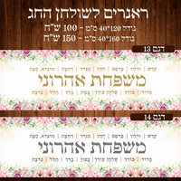 ראנר לשולחן חג פסח