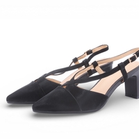 דגם לודוביקה