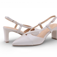 דגם לודוביקה