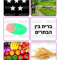 קבצי עזר לתכנונוח חלק 8