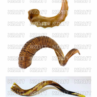 קבצי עזר לתכנונוח חלק 1