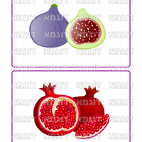 קבצי עזר לתכנונוח חלק 1