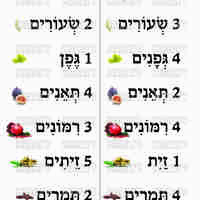 קבצי עזר לתכנונוח חלק 6