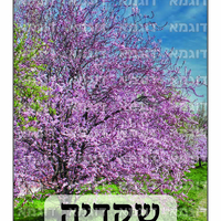 קבצי עזר לתכנונוח חלק 6