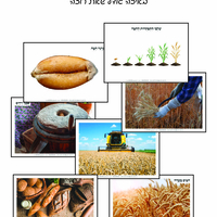 מאגר תמונות לחוברת טבע חלק ד'