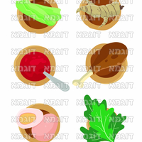 קבצי עזר לתכנונוח חלק 8