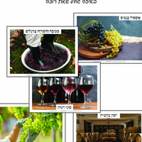 מאגר תמונות לסדרת טבע לכל הסדרה
