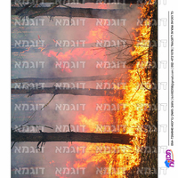 קבצי עזר לתכנונוח חלק 9