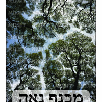 קבצי עזר לתכנונוח חלק 6