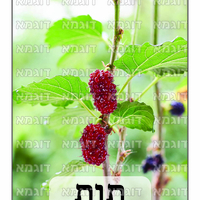 קבצי עזר לתכנונוח חלק 6