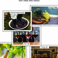 מאגר תמונות לחוברת טבע חלק ד'