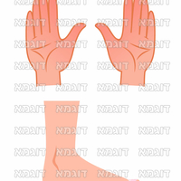 קבצי עזר לתכנונוח חלק 6