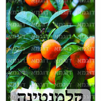 קבצי עזר לתכנונוח חלק 6