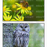קבצי עזר לתכנונוח חלק 7