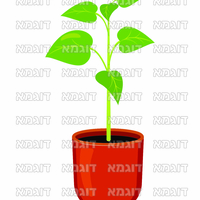 קבצי עזר לתכנונוח חלק 6
