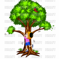 קבצי עזר לתכנונוח חלק 6