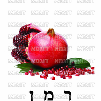 קבצי עזר לתכנונוח חלק 6