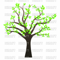 קבצי עזר לתכנונוח חלק 6