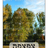 קבצי עזר לתכנונוח חלק 6