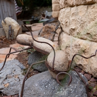 נמלה