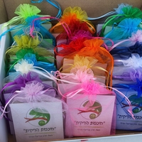 חוכמת הזיקית