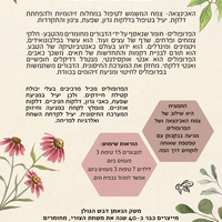 פרוניצה