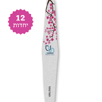 פצירה מקצועית מעוין רב־פעמית דו־צדדית 100/180 - 12 יחידות