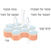 אלפרסן דיאבטיק אינטנסיב - קרם קצף לכף רגל סוכרתית