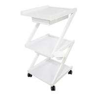 עגלת קוסמטיקה 3 מדפי עץ ומגירות אחסון - Cosmetics cart