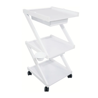 עגלת קוסמטיקה 3 מדפי עץ ומגירות אחסון - Cosmetics cart