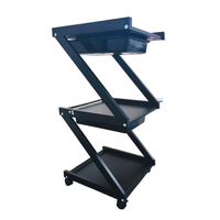 עגלת קוסמטיקה 3 מדפי עץ ומגירות אחסון - Cosmetics cart