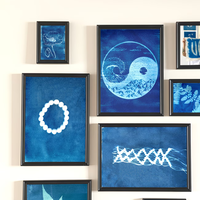 ערכת Cyanotype Pro – אבקות להדפסי שמש אומנותיים (Sun Print Kit)