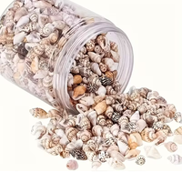 צדפות ים טבעיות לקישוט (כ-400 יחידות בצנצנת זכוכית)