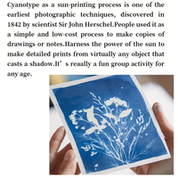 ערכת Cyanotype Pro – אבקות להדפסי שמש אומנותיים (Sun Print Kit)