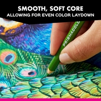 סט עפרונות צבעוניים מקצועיים, 150 צבעים -Prismacolor Premier