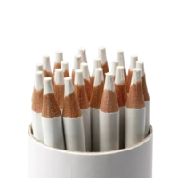 עפרון מחק לבן לציור וסקיצות - White Eraser Pencil