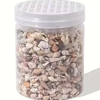 צדפות ים טבעיות לקישוט (כ-400 יחידות בצנצנת זכוכית)