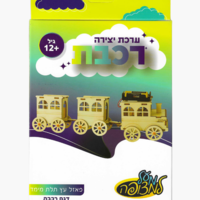 ערכת הרכבה מעץ ואלקטרוניקה / דגם רכבת