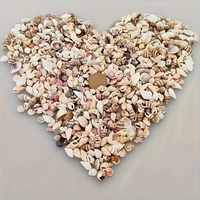 צדפות ים טבעיות לקישוט (כ-400 יחידות בצנצנת זכוכית)