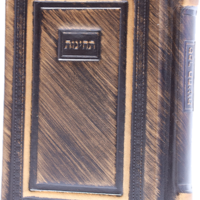 תחינות-דגם 15