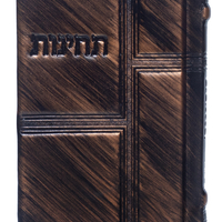 תחינות-דגם 55