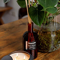 נר סויה קרמי AMBER MOSS