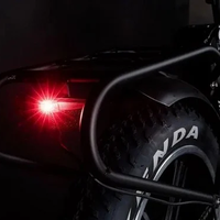אופניים חשמליים טיטניום אקסטרים TITANIUM EXTREME 48V
