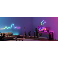פס תאורת LED ניאון לקיר 5 מ' דגם H61A2 גובי Govee