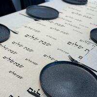 ראנר דגם 