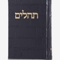 תהילים דגם 