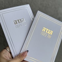 הגדה לפסח דגם קלאסי זהב / כסף