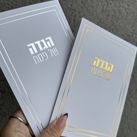 הגדה לפסח דגם קלאסי זהב / כסף