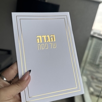 הגדה לפסח דגם קלאסי זהב / כסף
