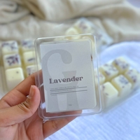 שעוונית Lavender